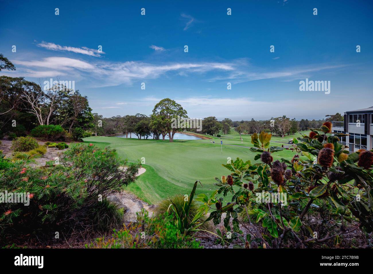 Un campo da golf con lussureggianti fairway verdi e un lago sullo sfondo Foto Stock
