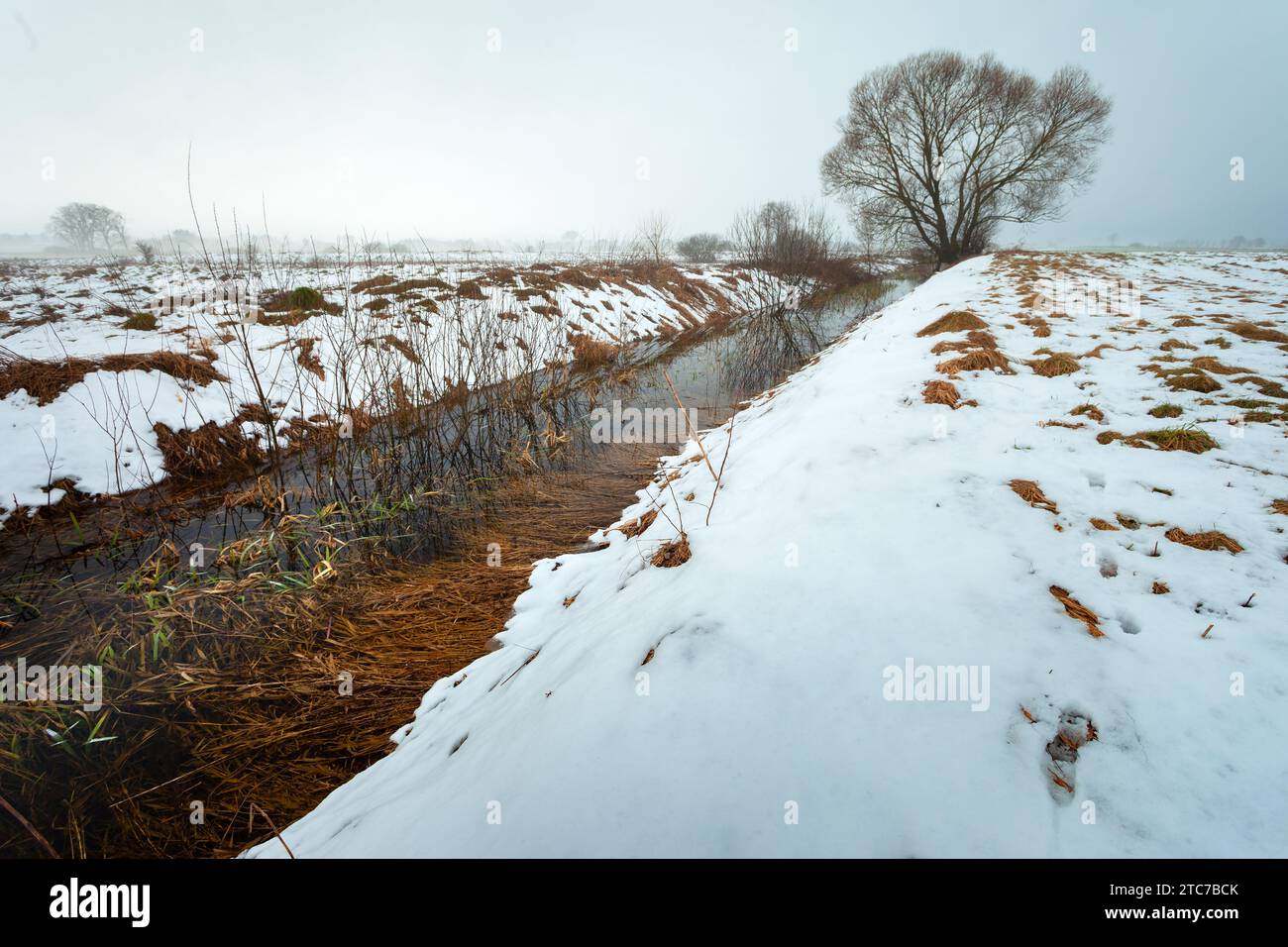 Canale d'acqua verso il grande albero e neve nel prato, giorno di gennaio Foto Stock