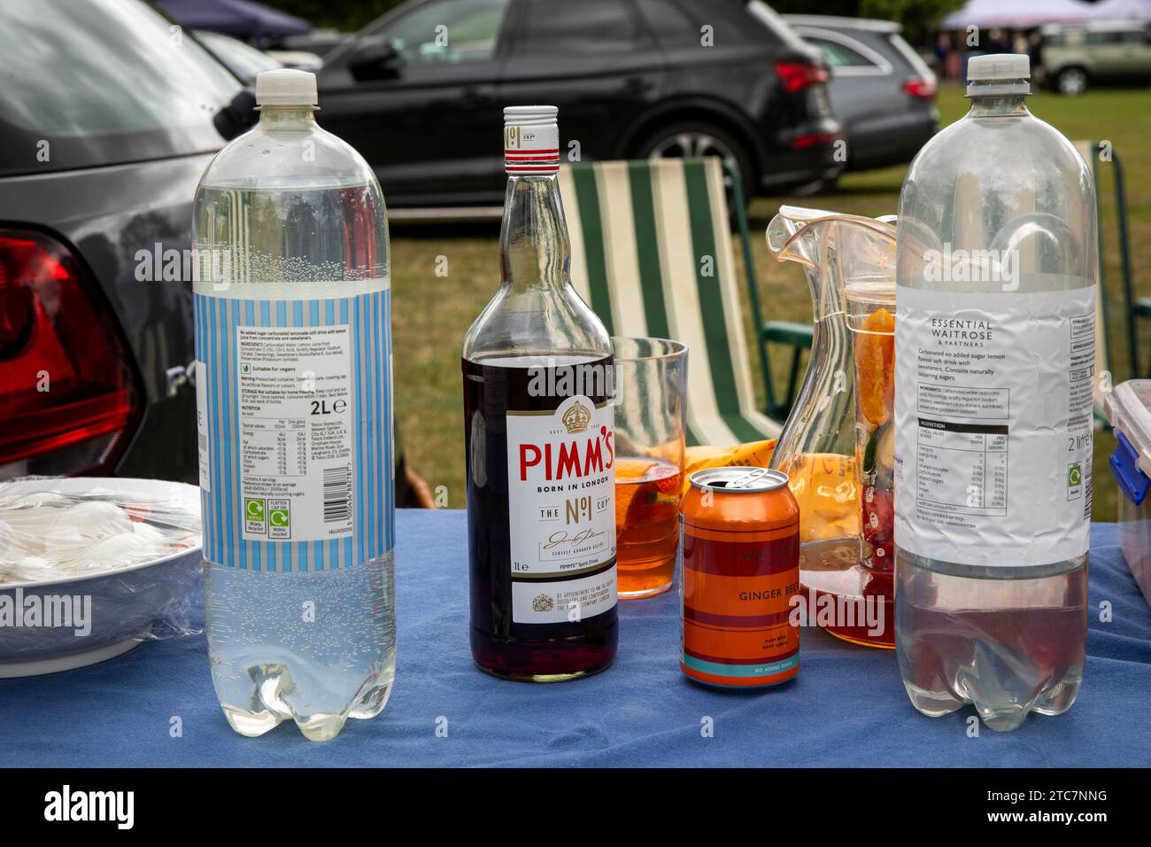 Regno Unito, Inghilterra, Berkshire, Henley Royal Regatta, Parcheggio, bevande da picnic Foto Stock