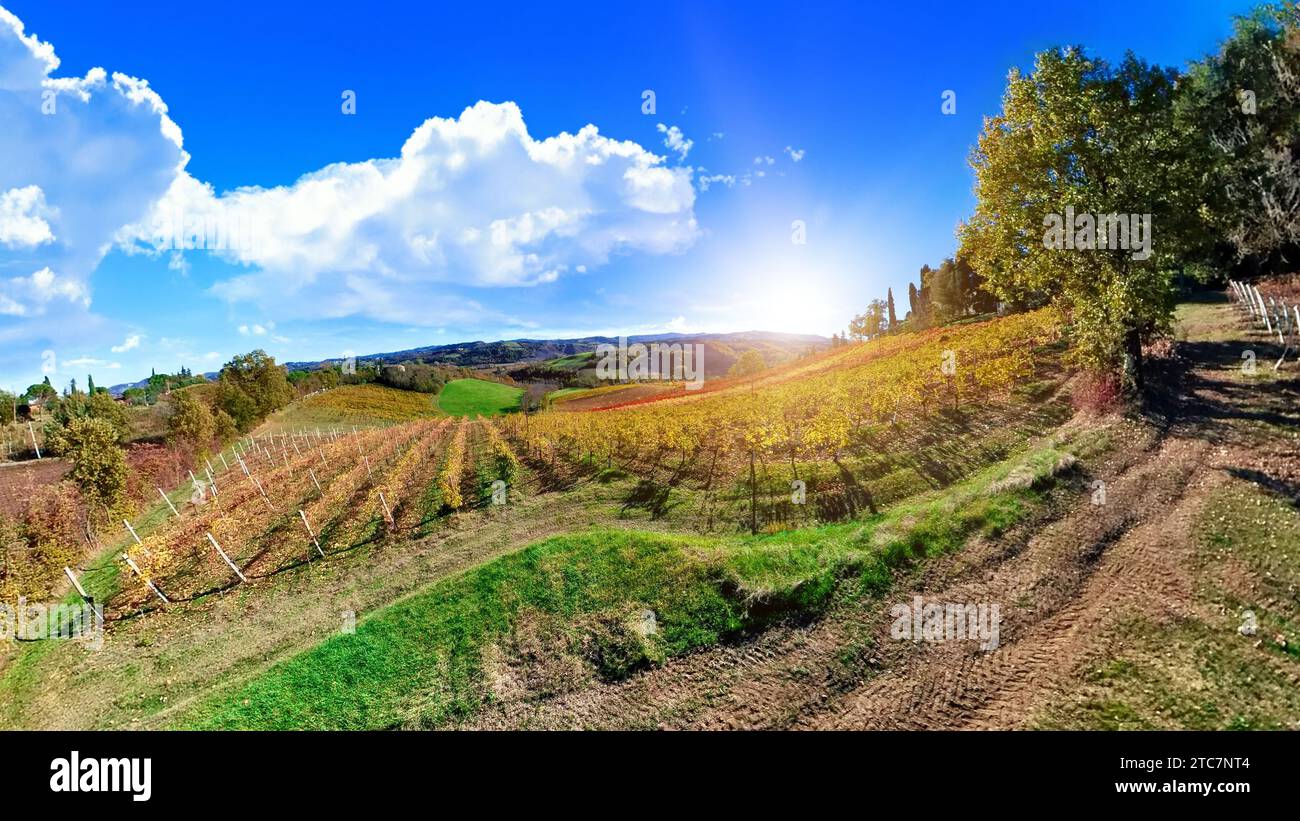 Vacanze in viaggio nelle terrazze dei vigneti. Paesaggio panoramico nel comune di Valsamoggia nella città metropolitana di Bologna dell'Emilia in Italia Foto Stock