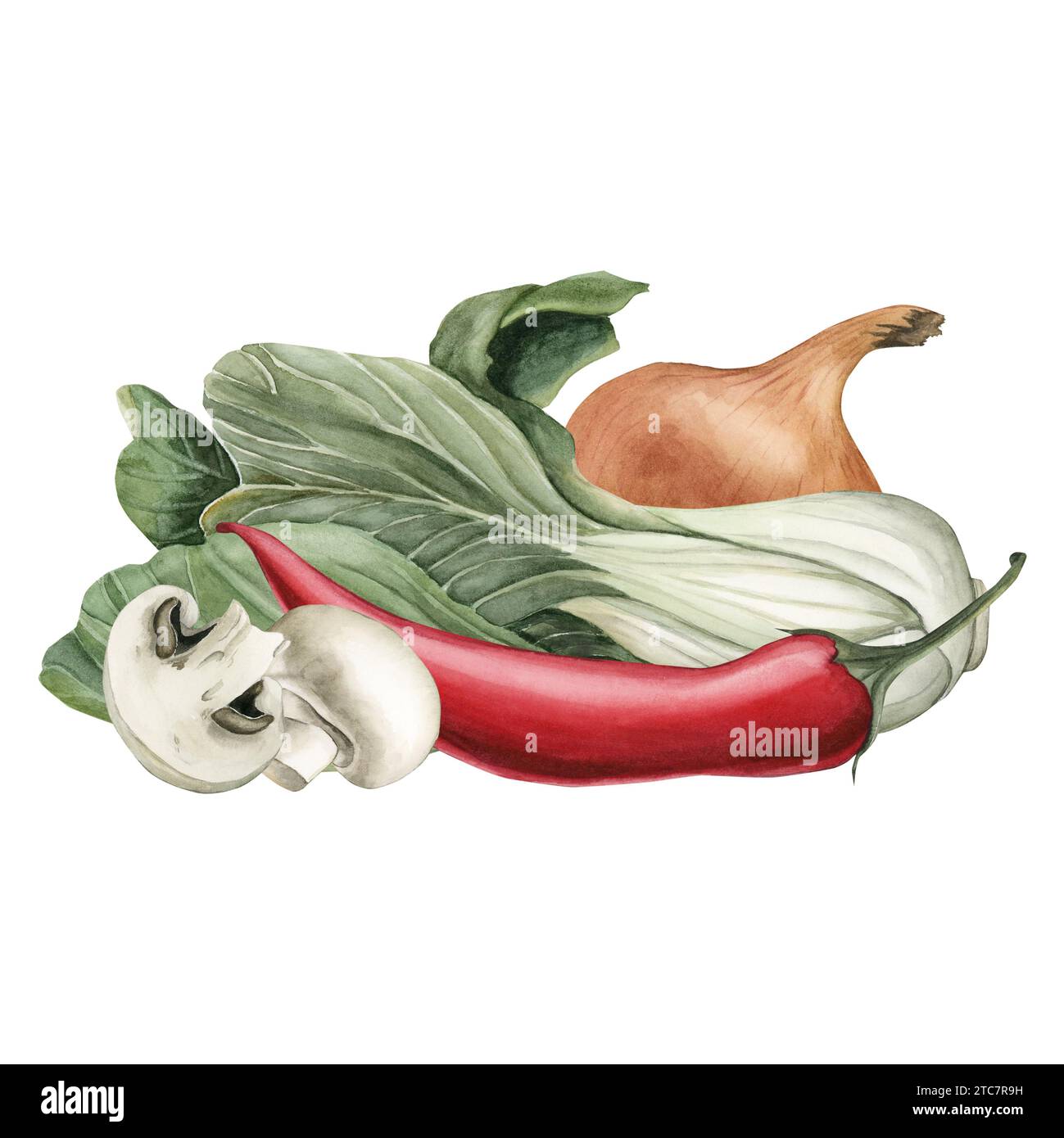 Composizione di Bok Choy, pepe rosso, cipolla e funghi. Verdure fresche. Illustrazione acquerello dipinto a mano isolato su sfondo bianco. Foto Stock