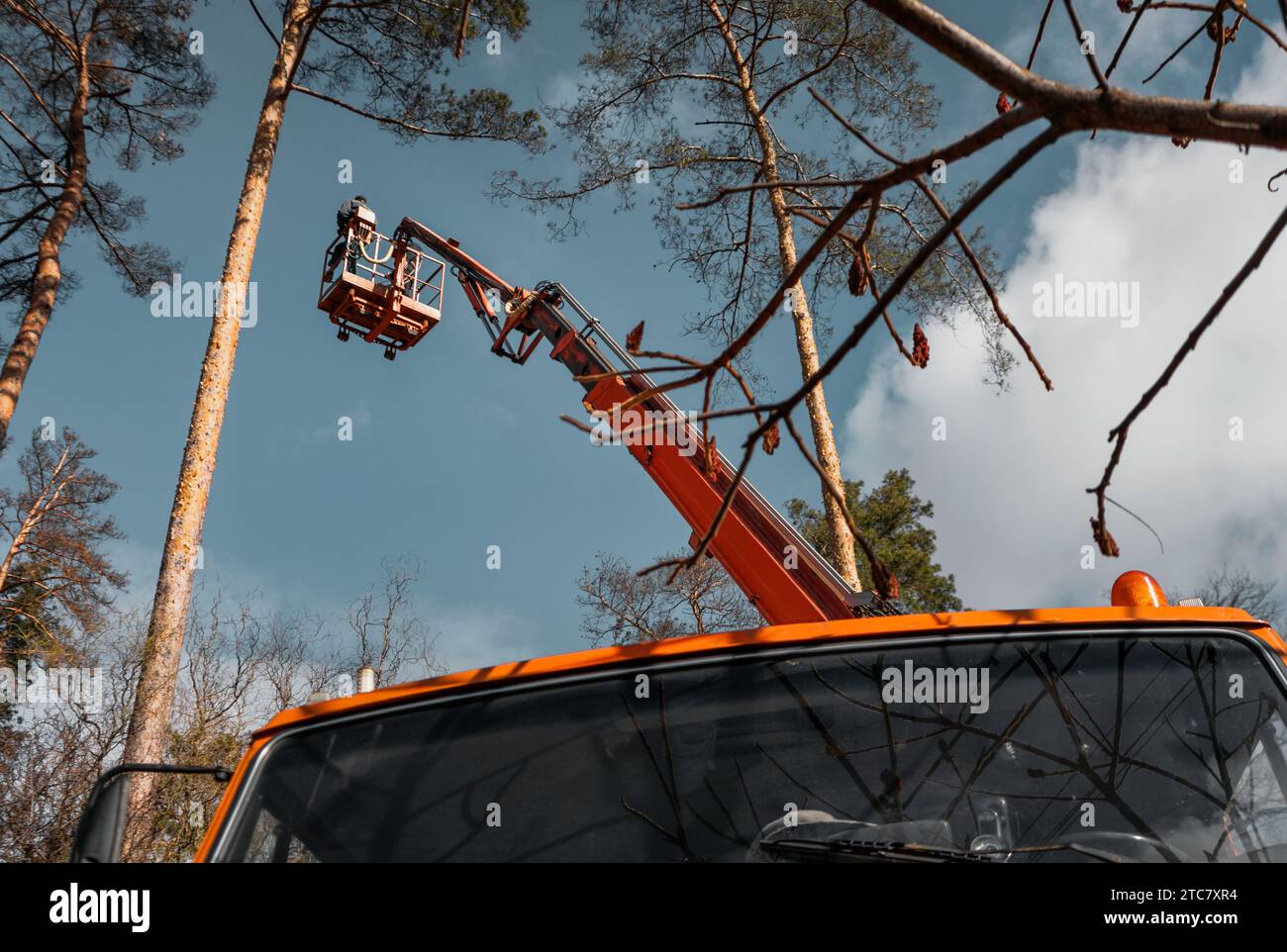 L'arborista si trova sulla base del sollevatore. Rimozione e cura degli alberi di emergenza. Foto Stock