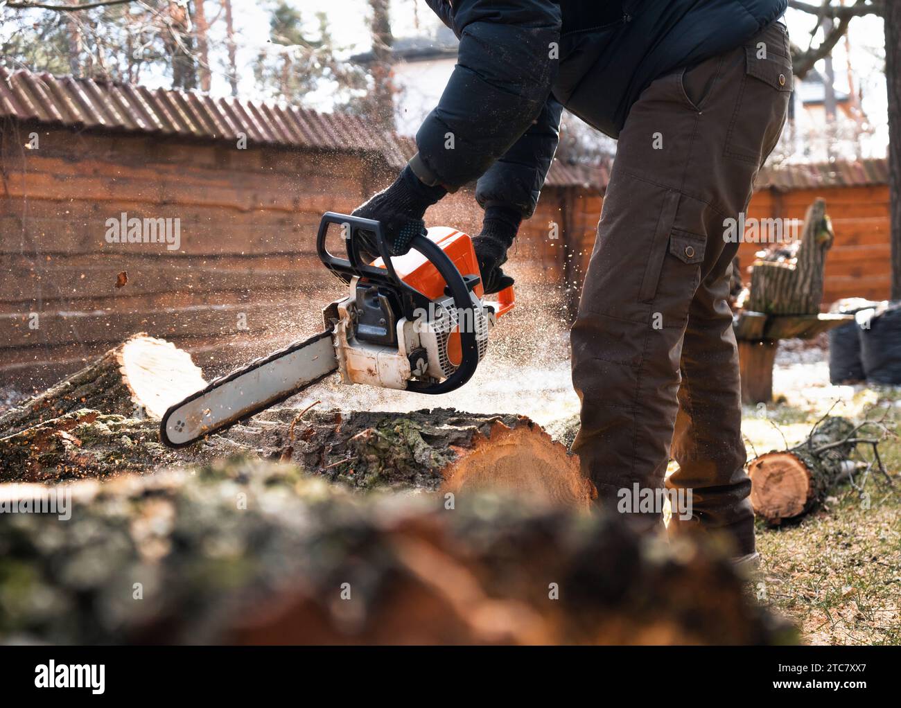 Taglialegna sega ad albero con motosega. La segatura vola dalla motosega. L'arborista sega un albero per la legna da ardere. Foto Stock