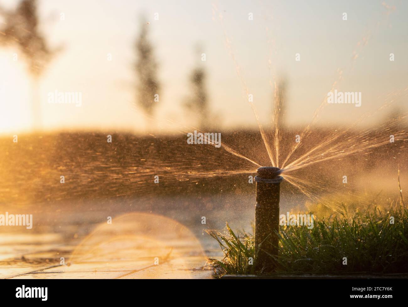 Sistema di irrigazione automatico che spruzza acqua sui prati per nutrire l'erba durante il tramonto, con luce solare brillante. Foto Stock