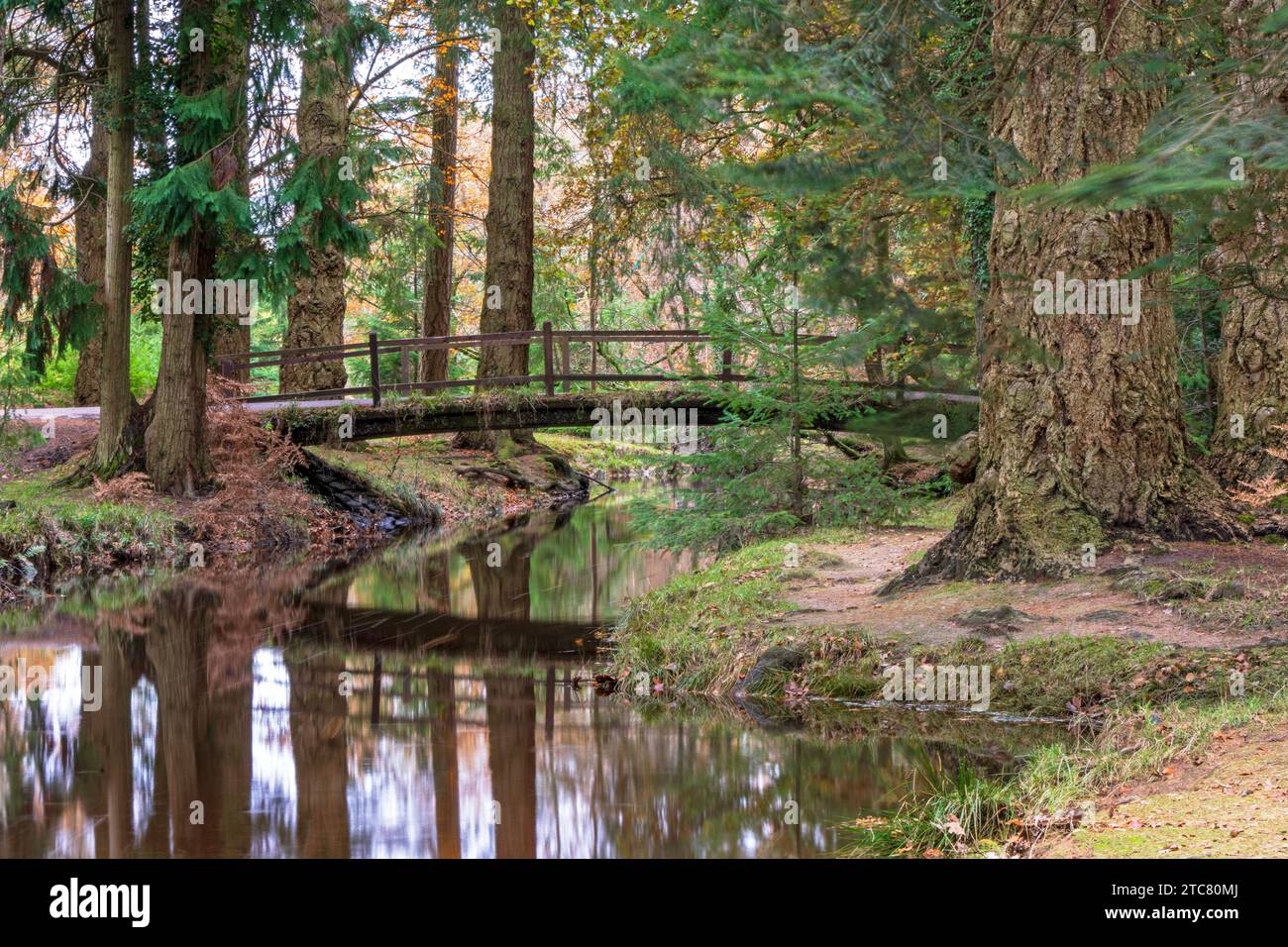 Rhinefield Bridge su Blackwater Stream, Ornamental Drive, Brockenhurst, New Forest, Hampshire, Regno Unito Foto Stock