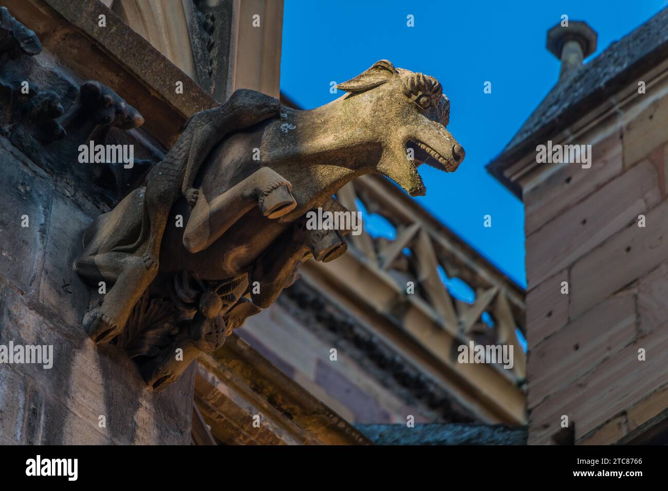 Una foto di una statua animale sulla facciata della Collegiale St-Martin Church, a Colmar Foto Stock