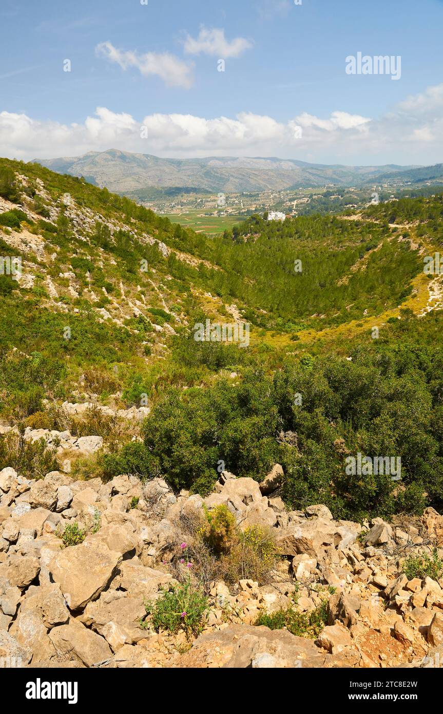 Paesaggio mediterraneo di macchia mediterranea e tradizionali pendii terrazzati nella catena montuosa di Lloma Llarga (Vall de Pop, Marina alta, Alicante, Spagna) Foto Stock