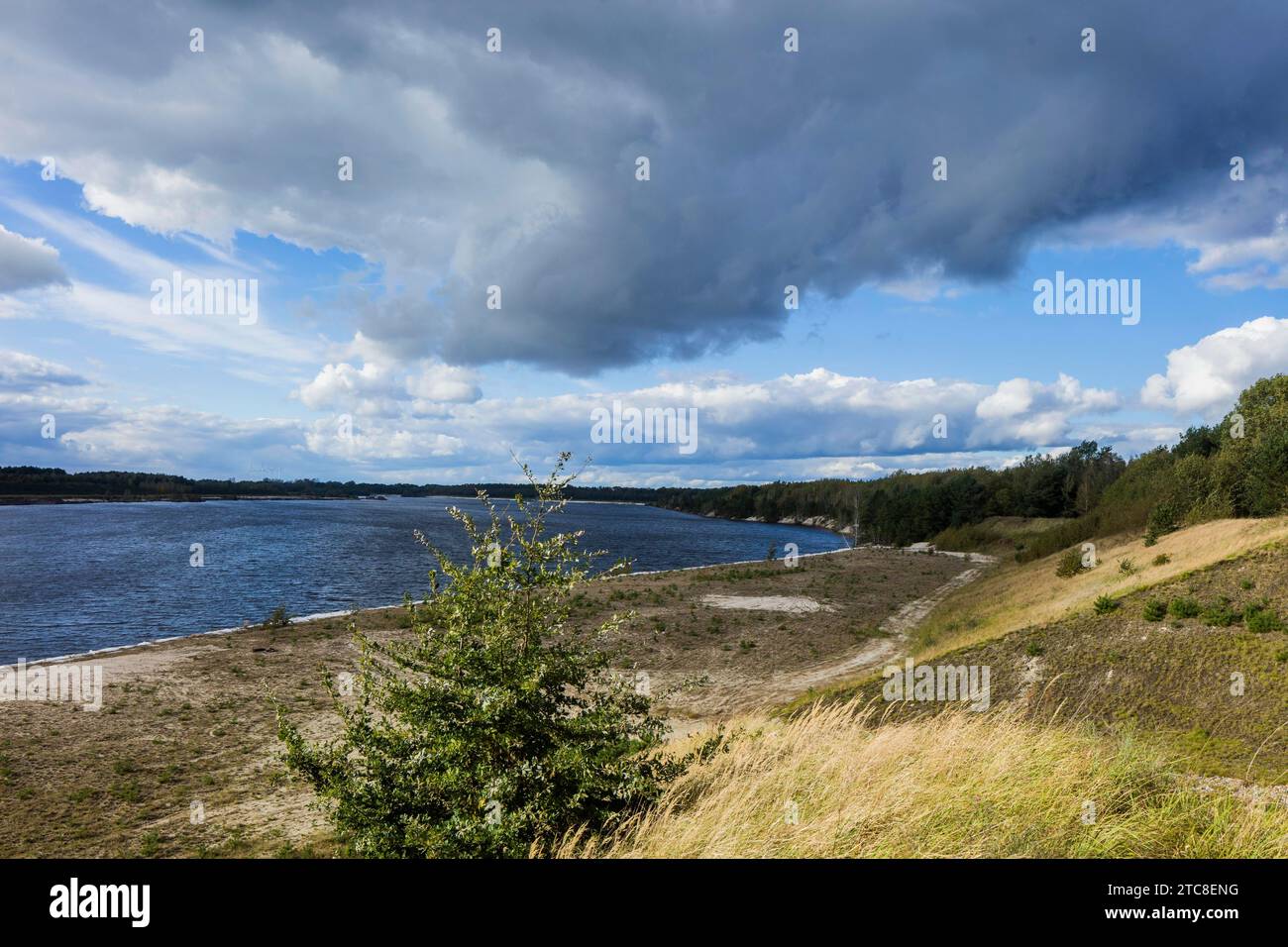 Il lago Sabrodt, nell'alto Sorbiano Zabrodski jezor, è un lago allagato nel foro residuo dell'ex miniera a cielo aperto Spreetal-Nordrandschlauch . Foto Stock