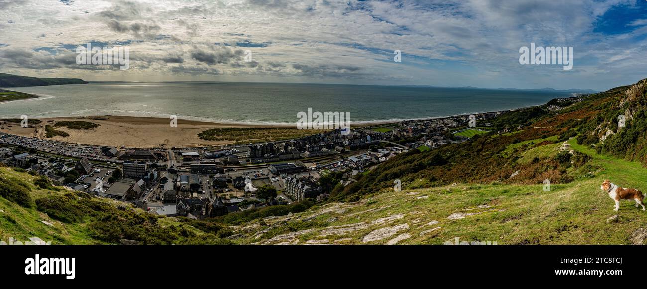 Panorama della città di Barmouth dalla passeggiata panoramica Foto Stock