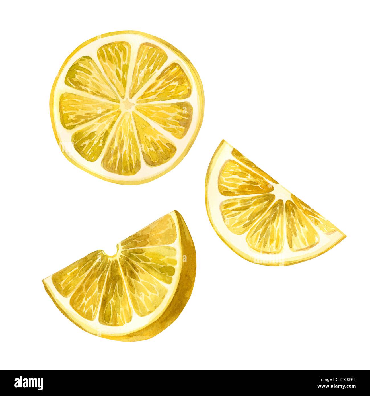 Set di elementi ad acquerello. Limone giallo. Succose fette di limone dipinte ad acquerello su sfondo bianco. Adatto per la stampa su tessuto e carta. Foto Stock