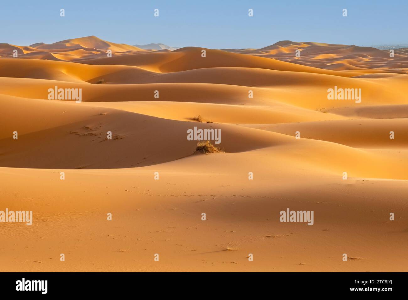 Dune di sabbia battute dal vento di Erg Chebbi nel deserto del Sahara vicino a Merzouga, Drâa-Tafilalet, Errachidia, Marocco Foto Stock