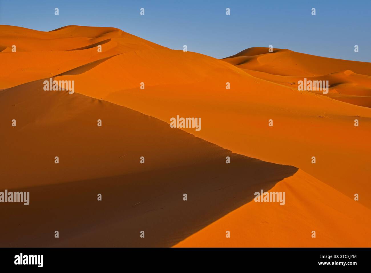 Dune di sabbia battute dal vento di Erg Chebbi nel deserto del Sahara vicino a Merzouga, Drâa-Tafilalet, Errachidia, Marocco Foto Stock
