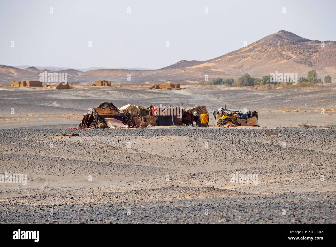 Tende beduine nel deserto del Sahara vicino a Merzouga, Drâa-Tafilalet, Errachidia, Marocco Foto Stock