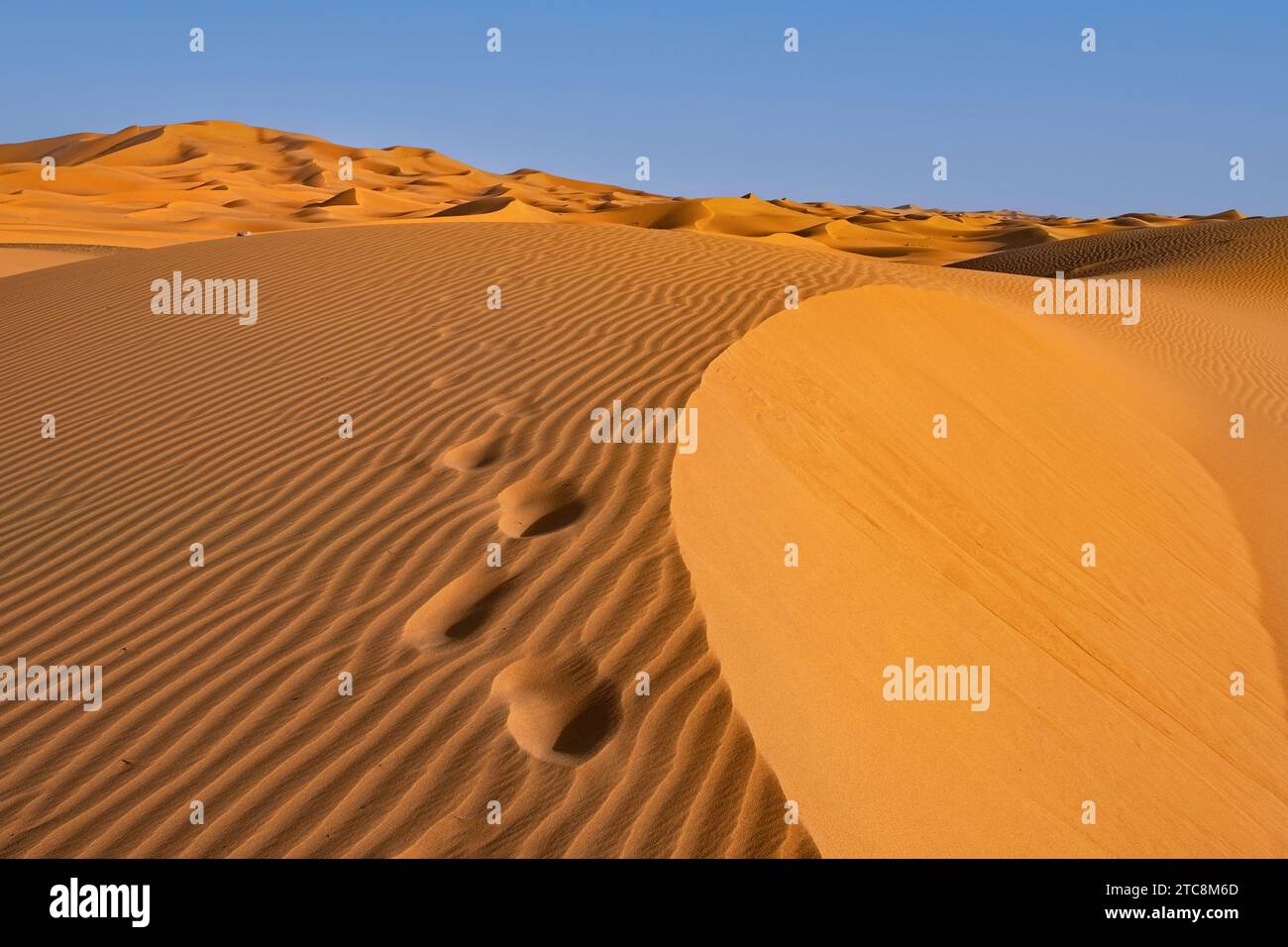Le orme della gente nella duna di sabbia di Erg Chebbi nel deserto del Sahara vicino a Merzouga, Drâa-Tafilalet, Errachidia, Marocco Foto Stock