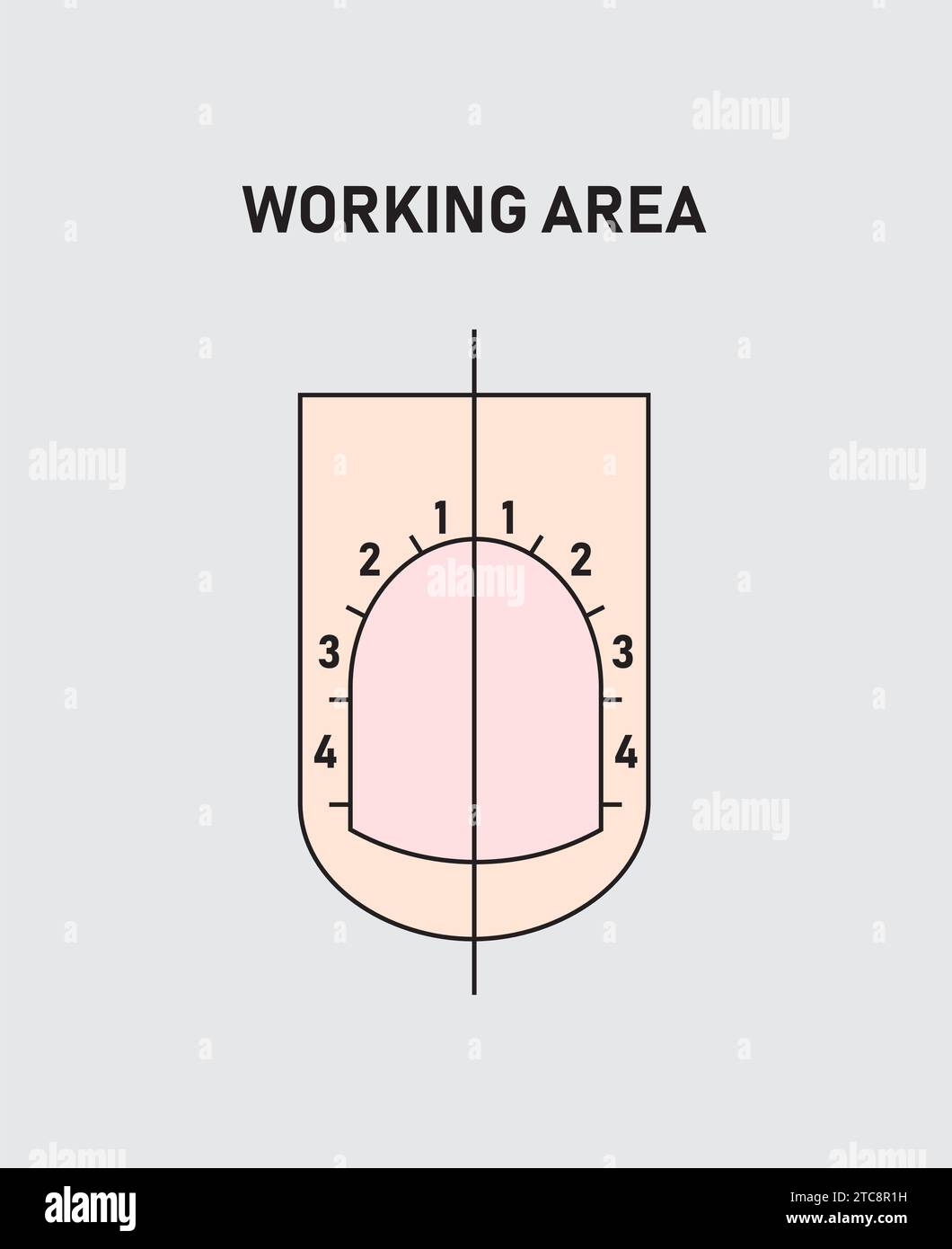 Guida alla manicure professionale, vettoriale, infografica. Formazione di maestri di manicure. Area di lavoro Illustrazione Vettoriale