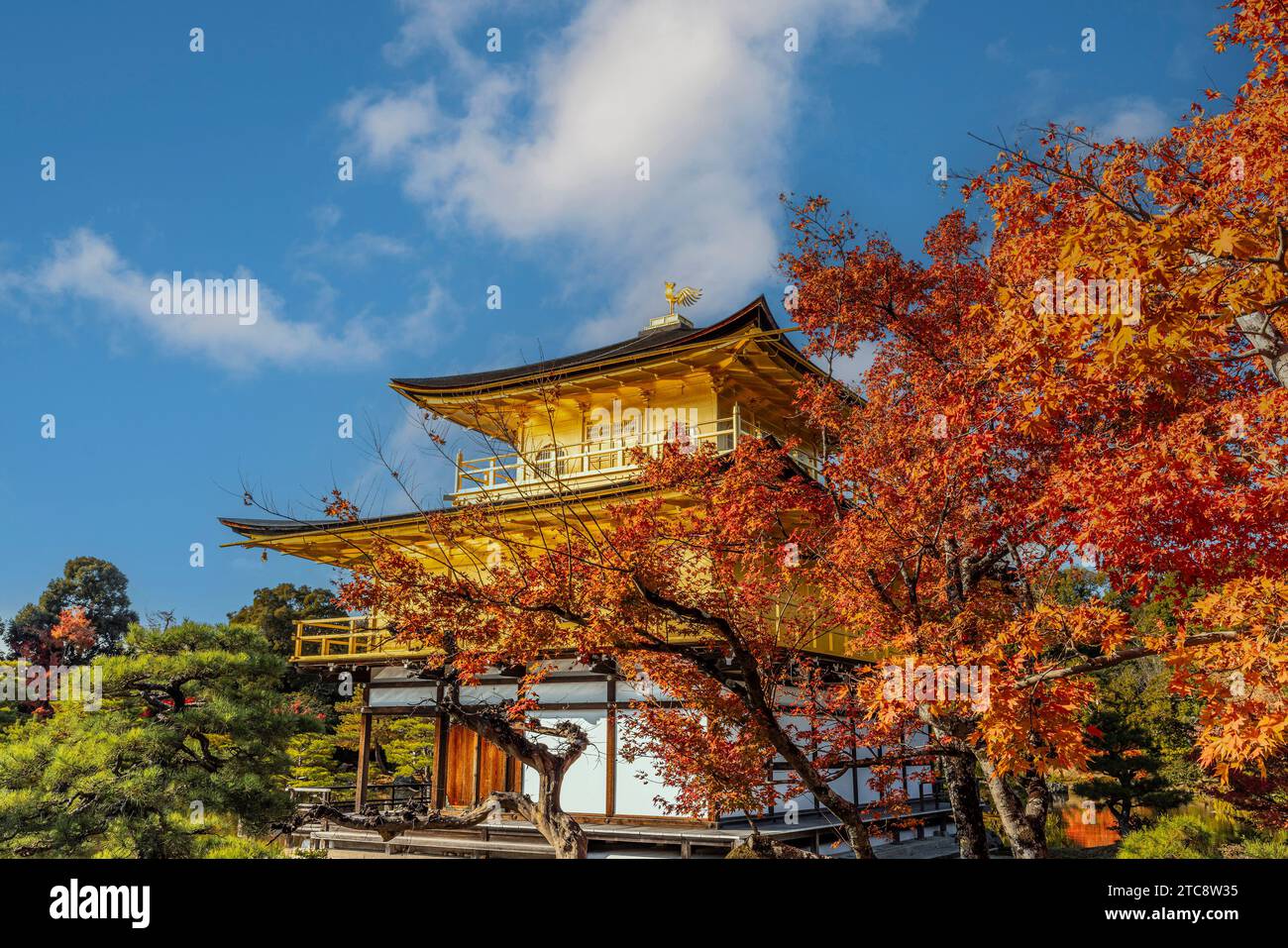 Tempio e giardino Kinkaku-ji in autunno Foto Stock