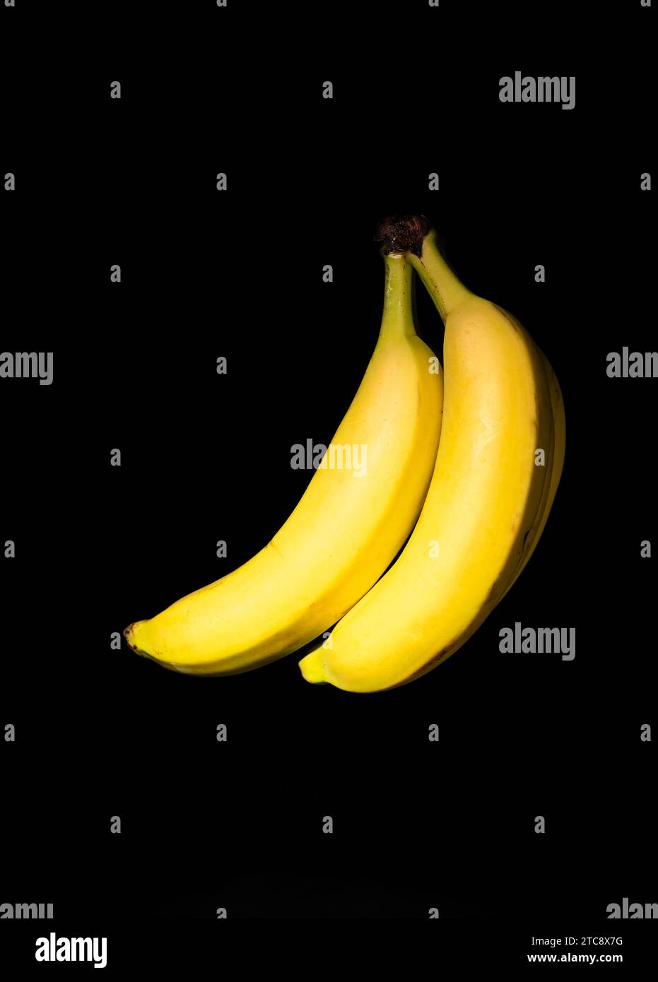 Banane Cavendish gialle, musa acuminata su sfondo nero, Bruxelles, Belgio Foto Stock