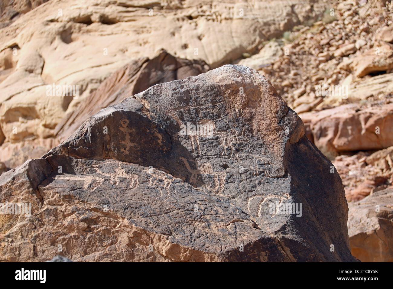 Petroglifi a Umm Sinman Mountain vicino a Jubbah in Arabia Saudita Foto Stock