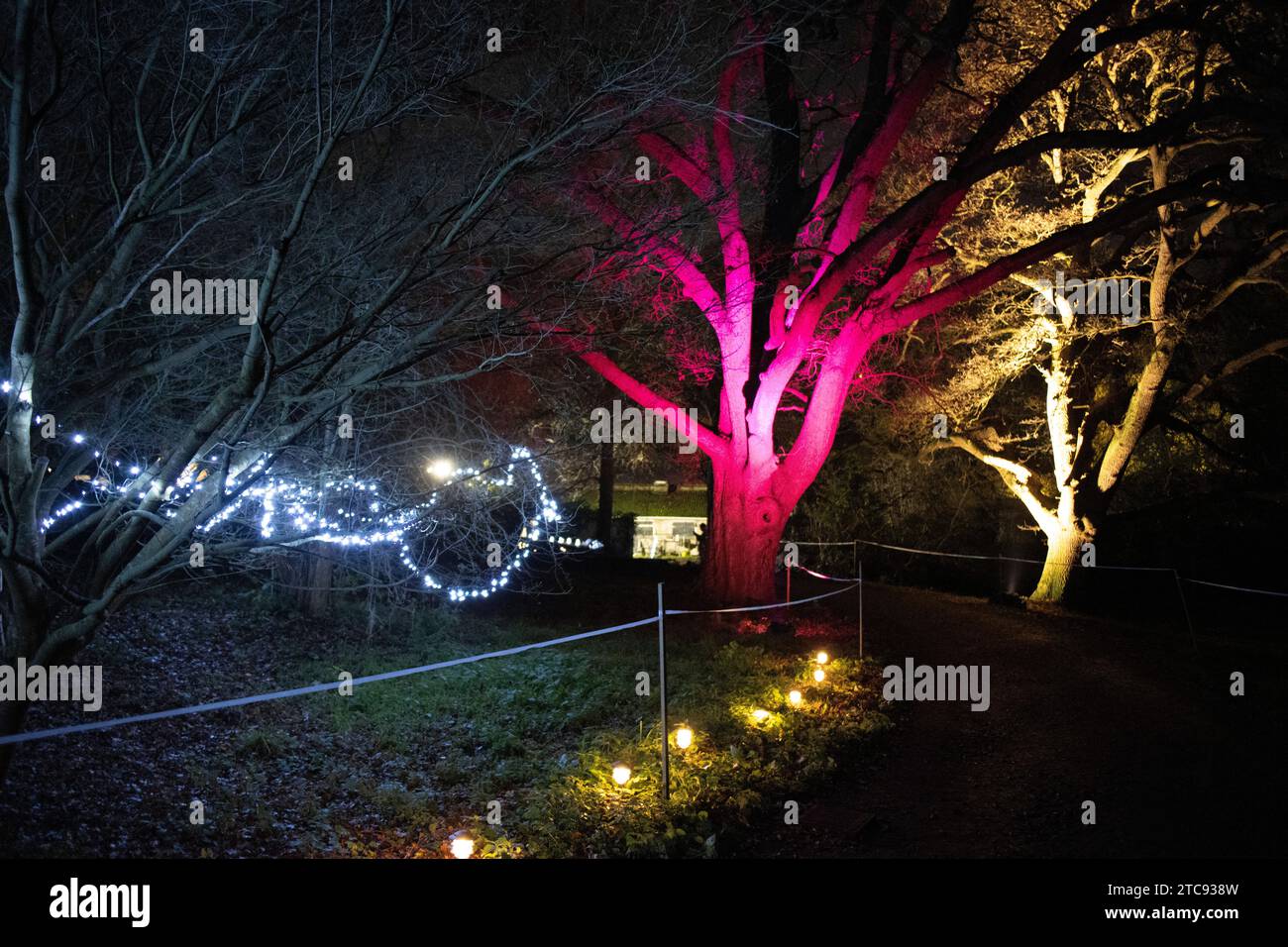 Il Wimbledon Festive Light Trail si tiene a Cannizaro Park, West Side Common, Londra SW19, Inghilterra, Regno Unito legato alle Nazioni Unite Foto Stock