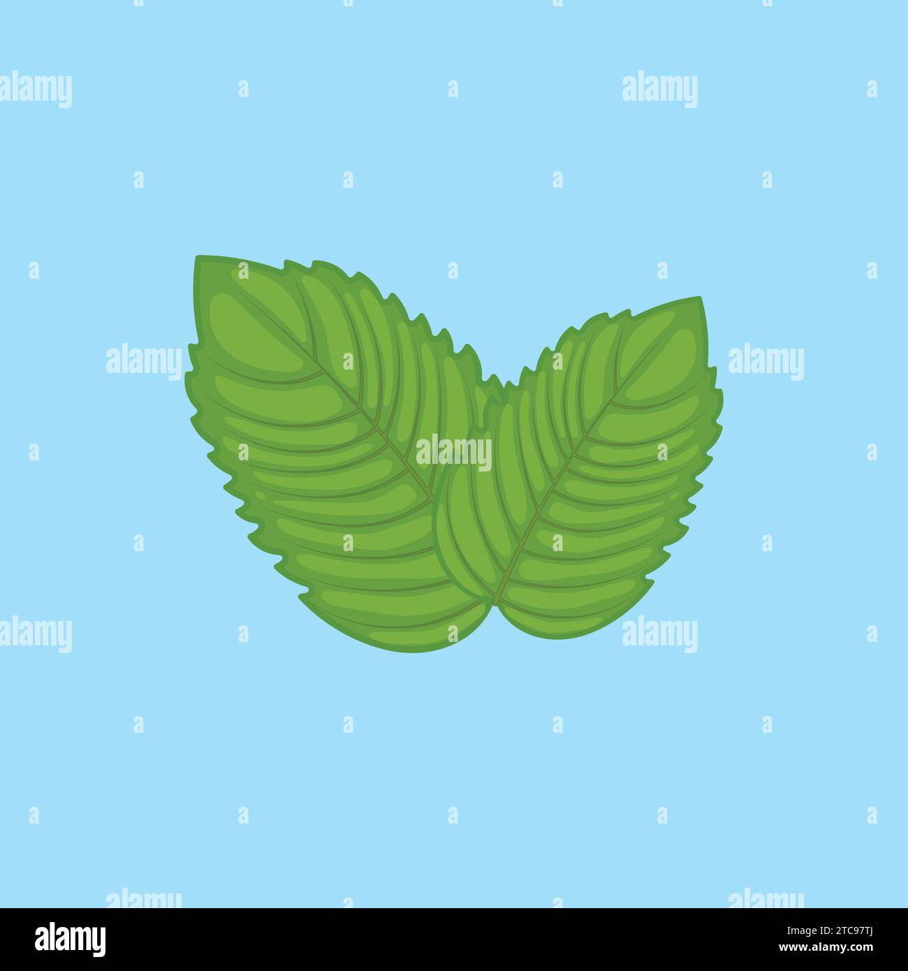 Icona verde foglia di menta icona vettore Mint verdure Illustrazione Vettoriale