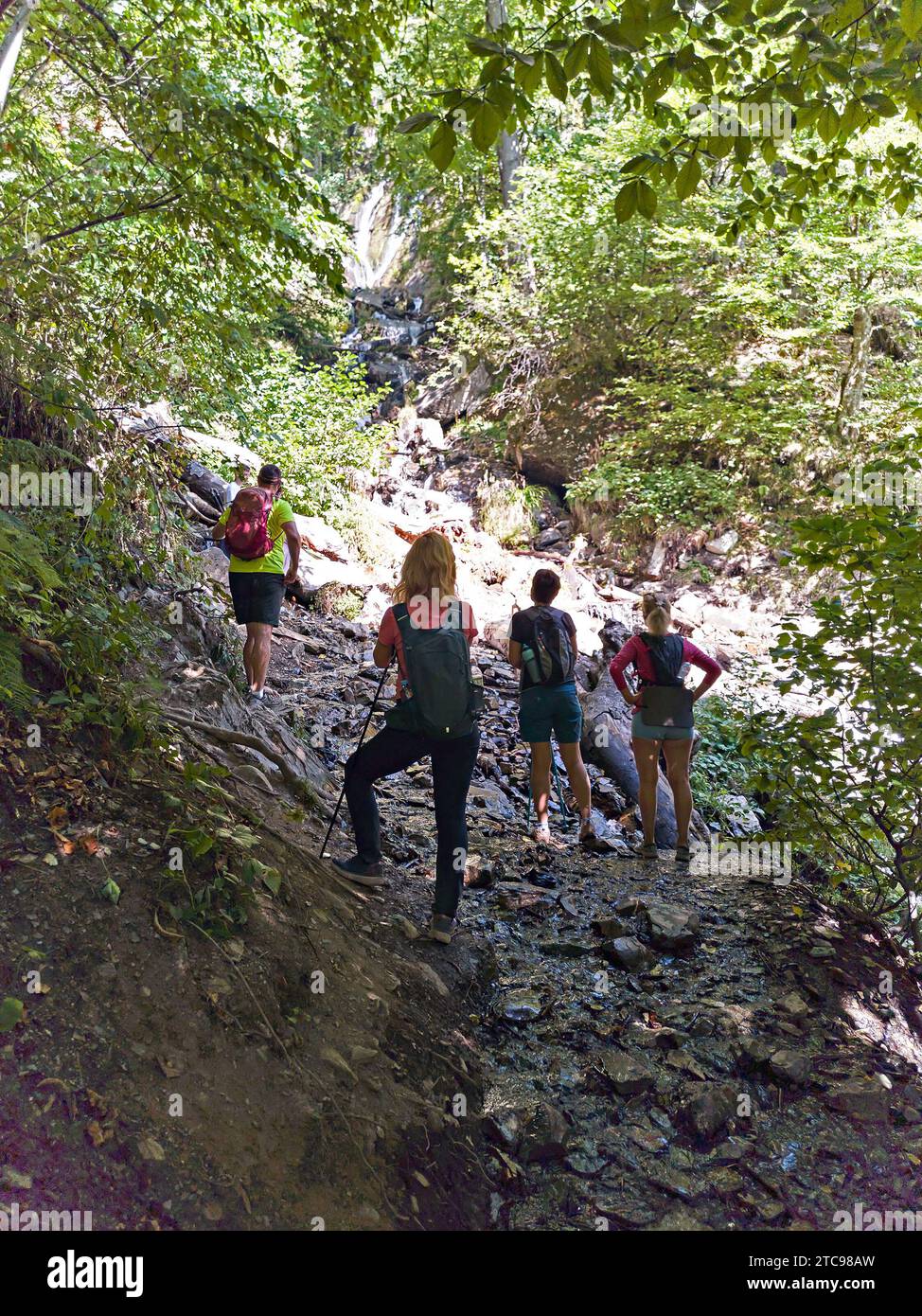 Gruppo di turisti in trekking in montagna Foto Stock