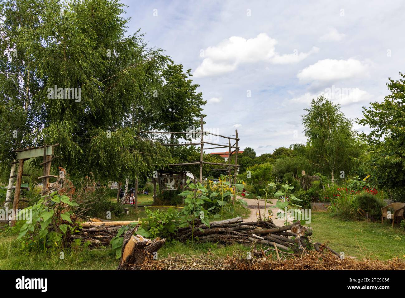 Berlino, Germania - 25 luglio 2023: Giardino comunitario Allmende-Kontor presso il campo Tempelhofer di Berlino, Germania in Europa Foto Stock