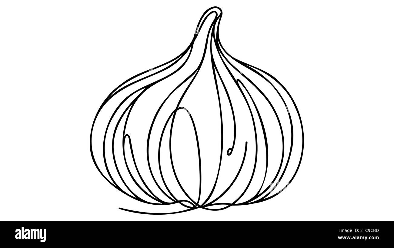 Aglio in stile disegno a linee continue. Schizzo lineare minimalista nero a bulbo d'aglio isolato su sfondo bianco. Illustrazione vettoriale. Illustrazione Vettoriale