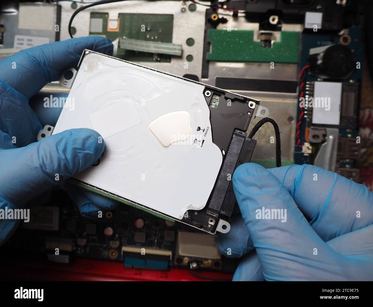Tecnico che installa il disco rigido sul computer. Rimozione o collegamento del cavo del disco. Informazioni sul concetto di recupero dei dati. Foto Stock