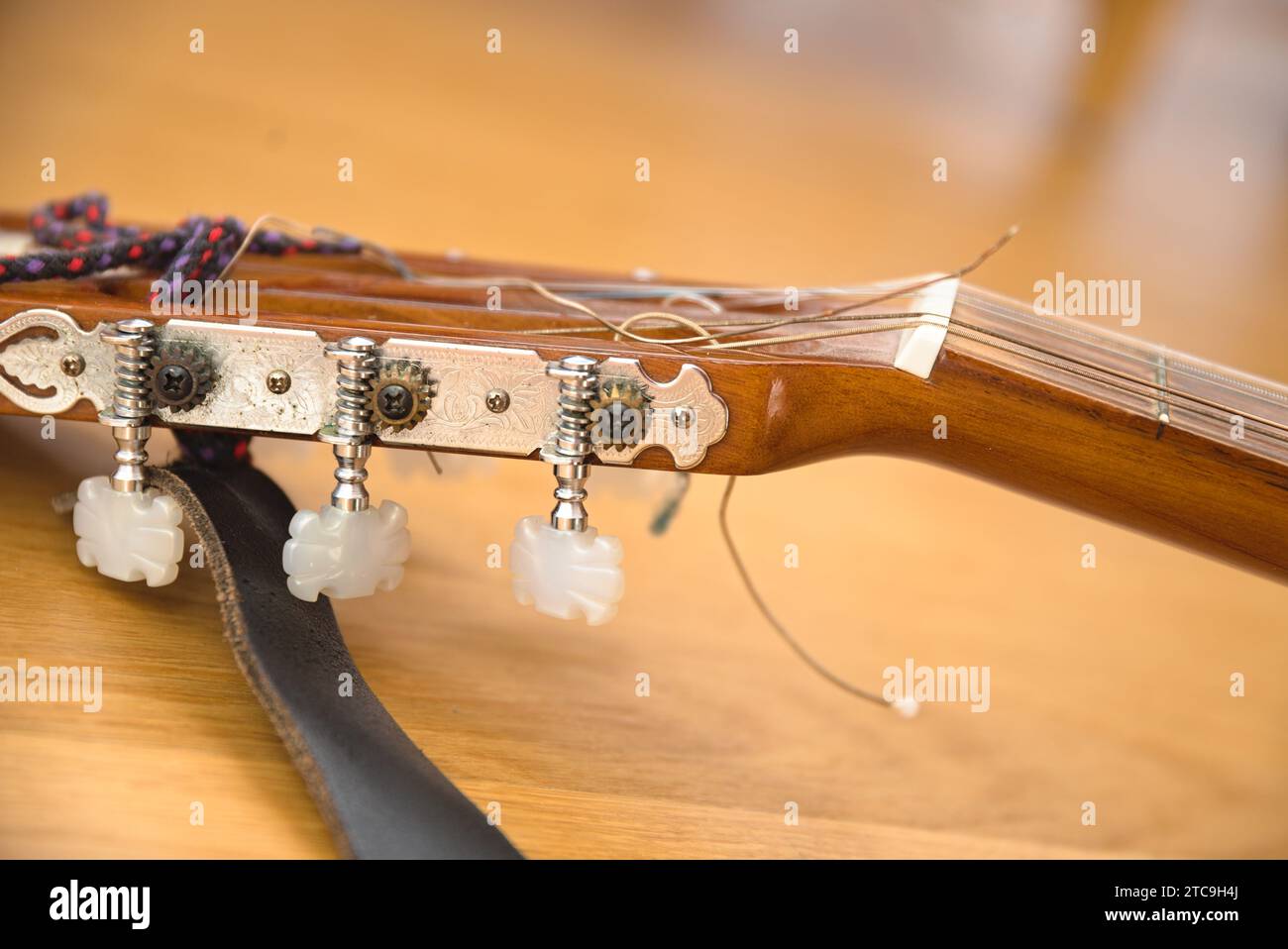 Vertebrae vocale con Cracked Guitar String su Musical Instrument - Plucked Instrument, primo piano Foto Stock