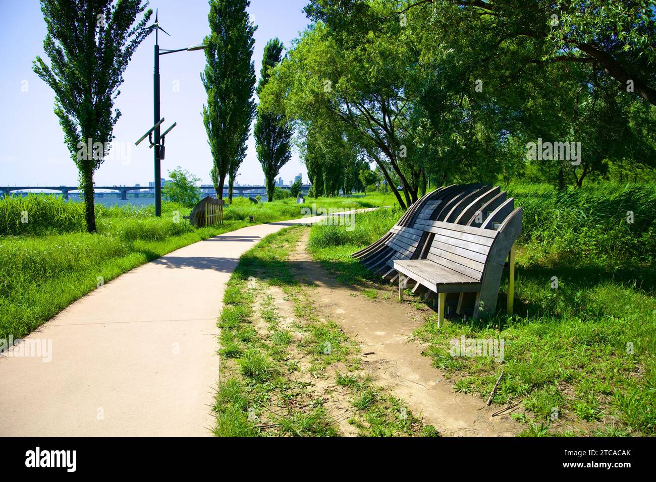 Annidata lungo un sentiero sterrato all'interno del Parco d'Arte di Hangang, la mostra "Playscape" presenta panchine costruite con tecniche di costruzione navale in legno che armonizzano il wi-fi Foto Stock