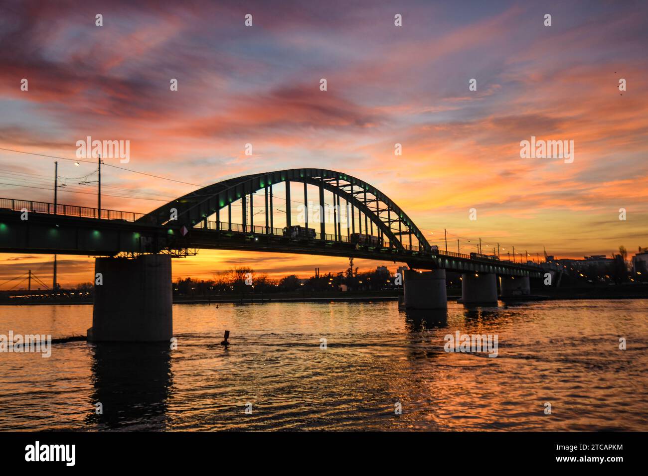 Tramonto a Belgrado: Vecchio ponte Sava. Serbia Foto Stock