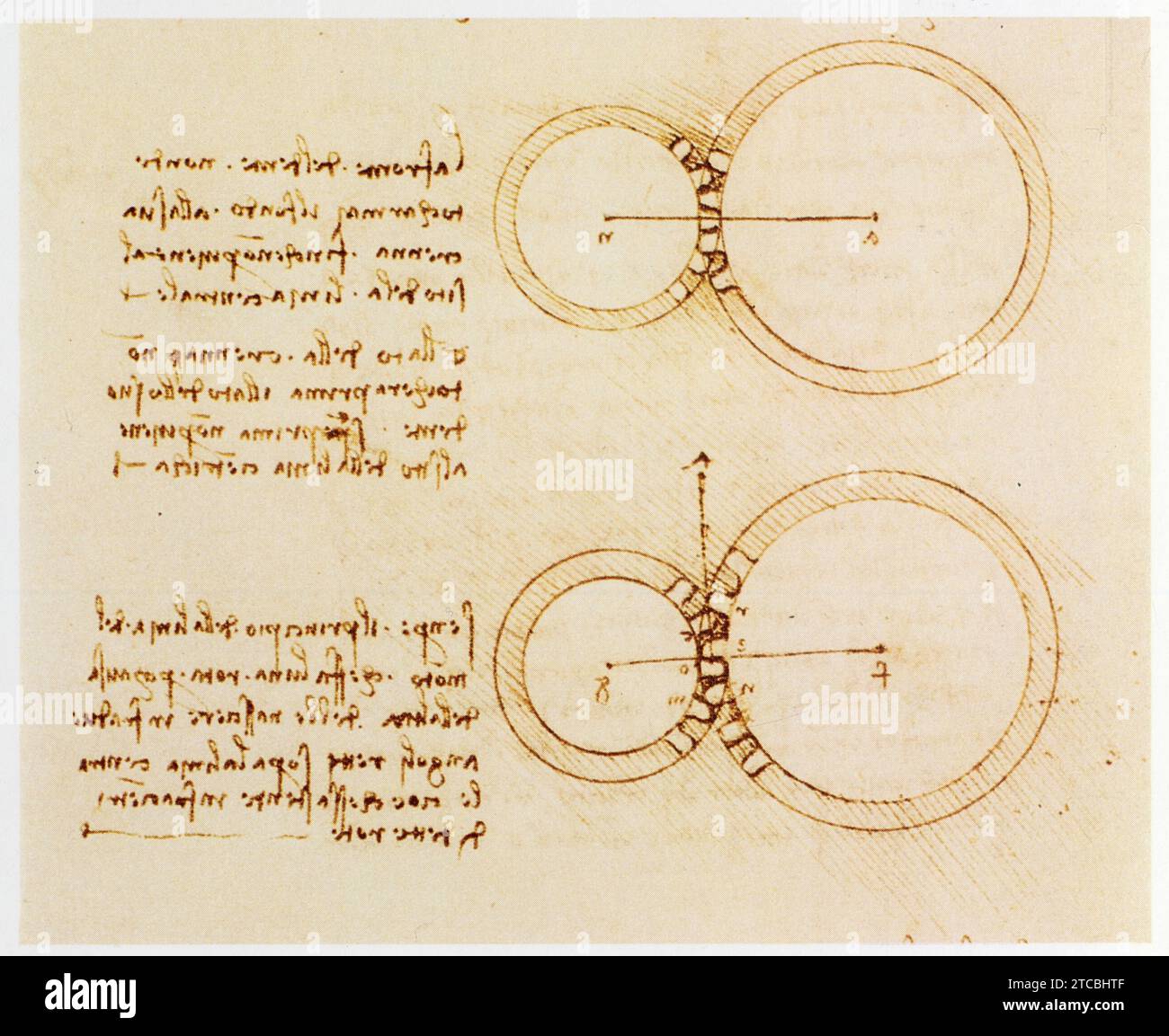 Leonardo da Vinci.1452-1519.étude des dents de rouages. Contattare l'ente et cran. Foto Stock