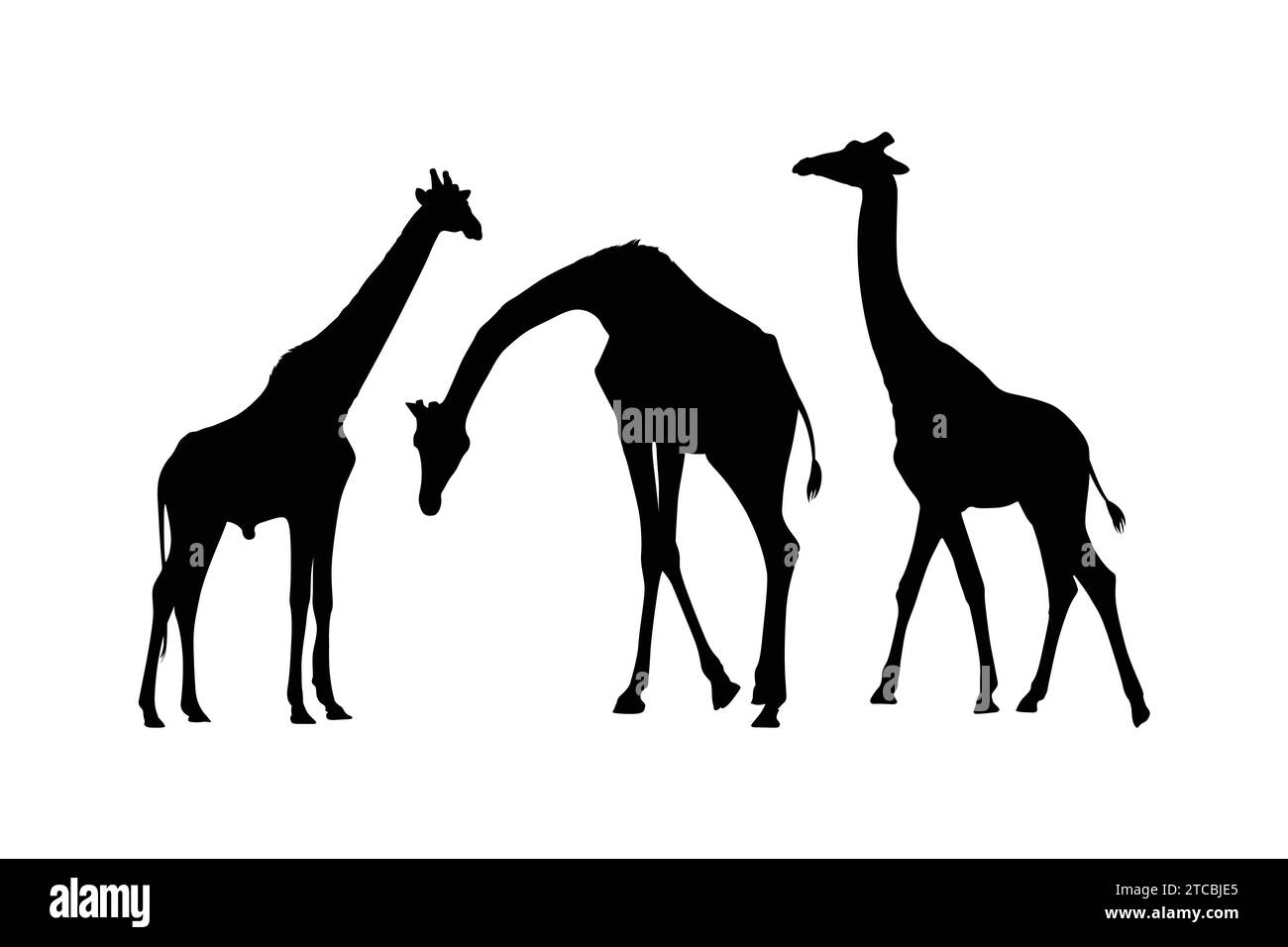 Silhouette in giraffa disegnata a mano Illustrazione Vettoriale