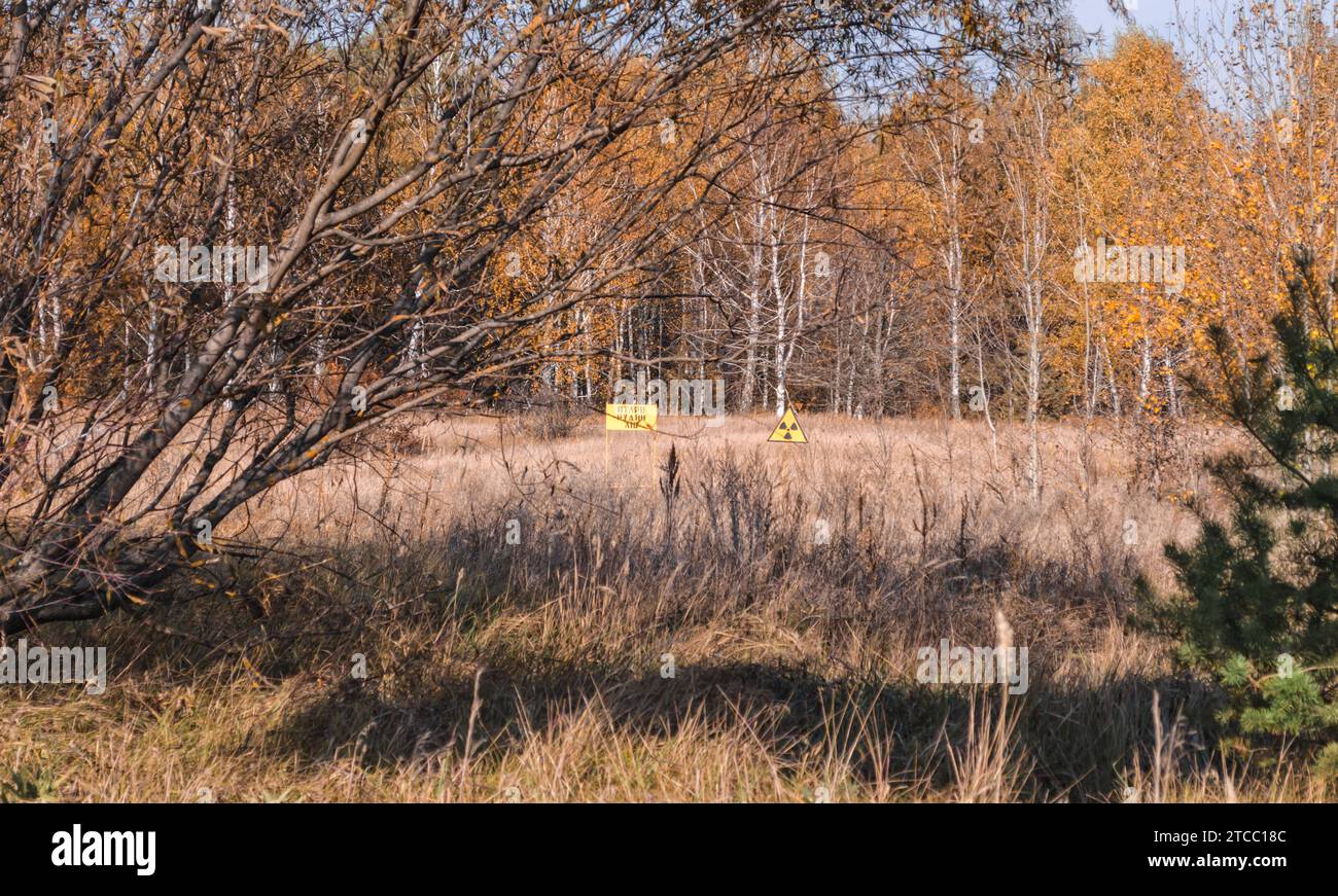 Traduzione del testo sulla targa foresta rossa con il segno di contaminazione radioattiva nella foresta di Chernobyl in Ucraina in autunno Foto Stock