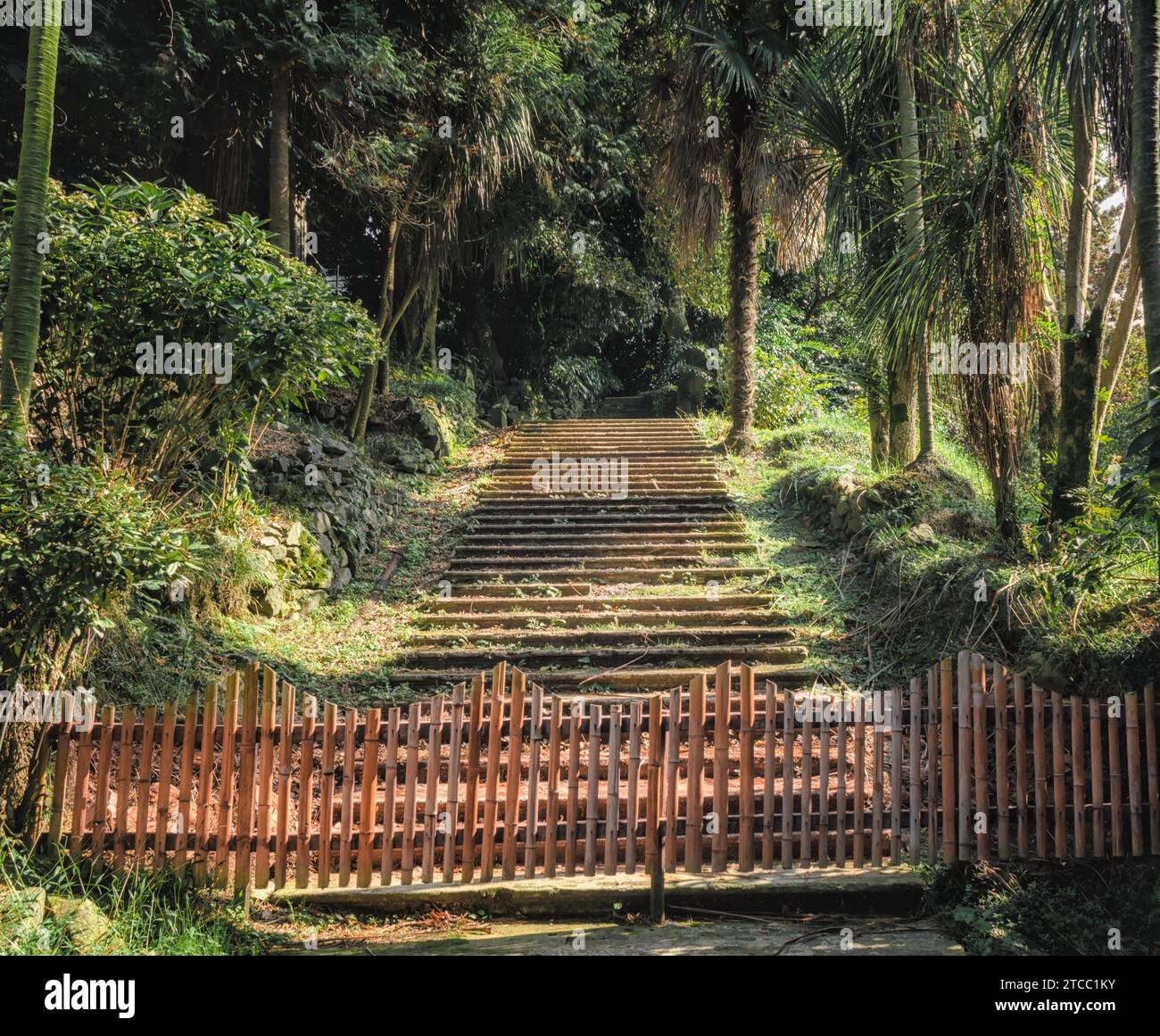 Scala in pietra in un parco tropicale con palme e una recinzione di bambù nel pomeriggio in Georgia Foto Stock