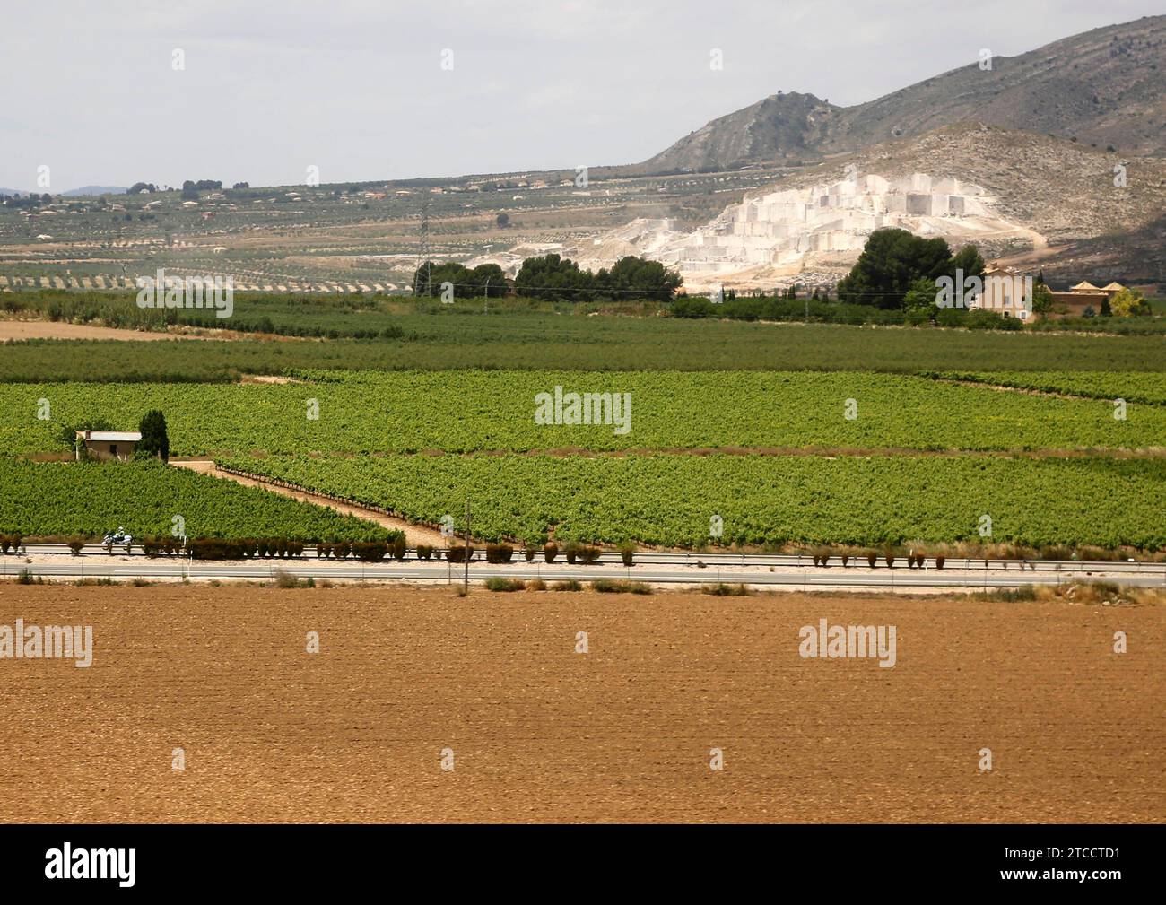 Alicante 08/11/2014 Agricoltura. Foto Juan Carlos Soler archdc. Crediti: Album / Archivo ABC / Juan Carlos Soler Foto Stock