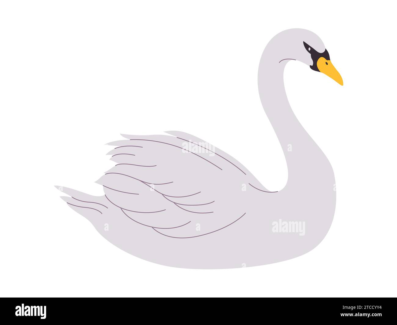 uccello a cigno di colore bianco gli animali della natura selvatica hanno becco e collo lungo con una bella piuma Illustrazione Vettoriale