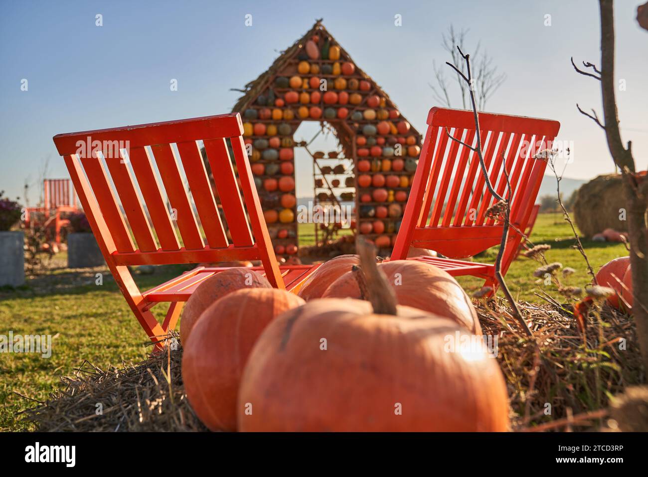 Sedie da giardino e zucche mature, con una casa decorativa di dimensioni reali sullo sfondo. Vista dall'angolo basso delle zucche arancioni contro la casa finta e la sceni Foto Stock