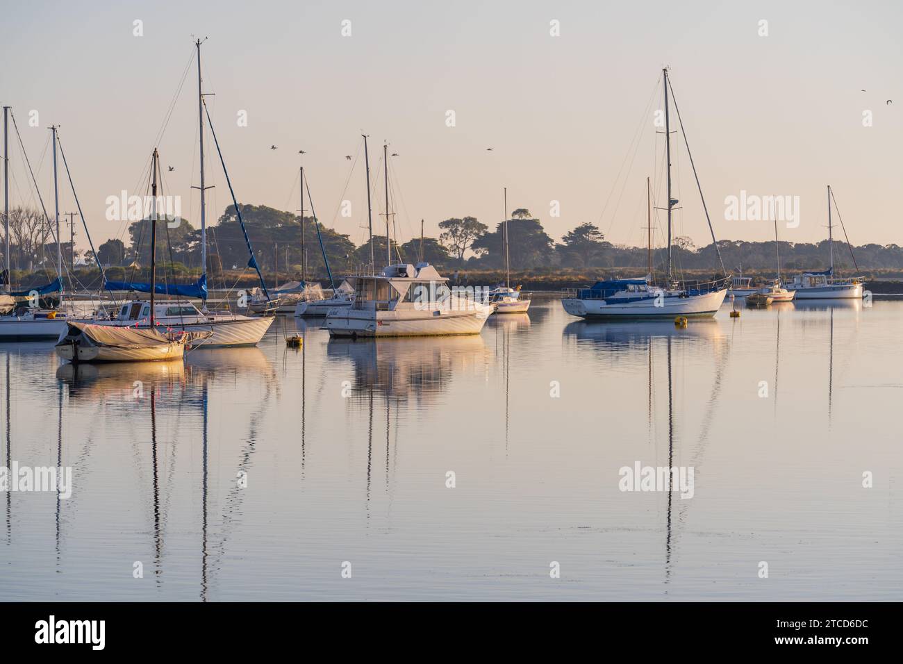 Barche e yacht si riflettono sulle calme acque di un porticciolo costiero a Queenscliff sulla penisola di Bellarine a Victoria, Australia. Foto Stock