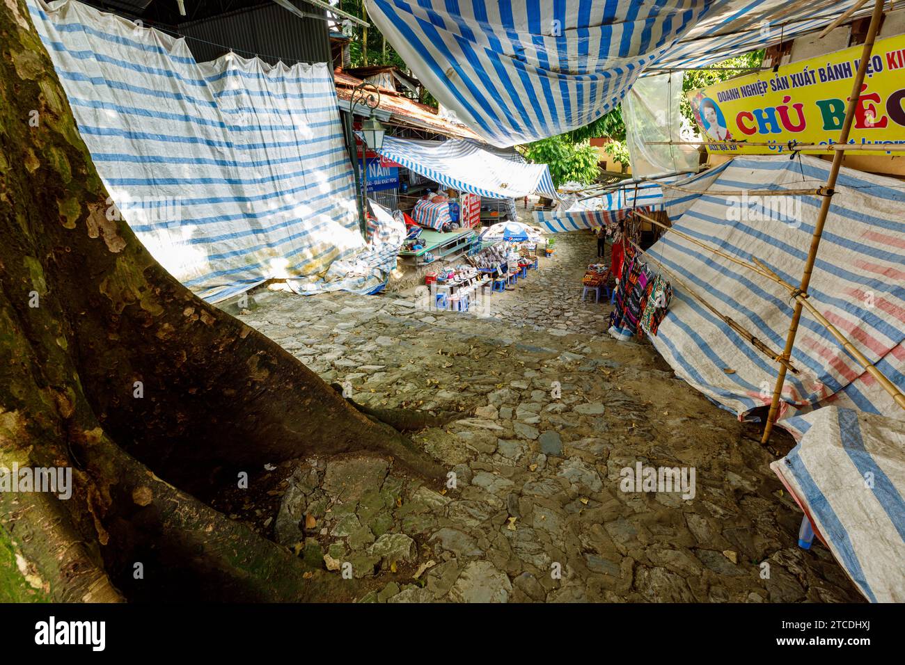 La strada per la Pagoda dei profumi in Vietnam Foto Stock