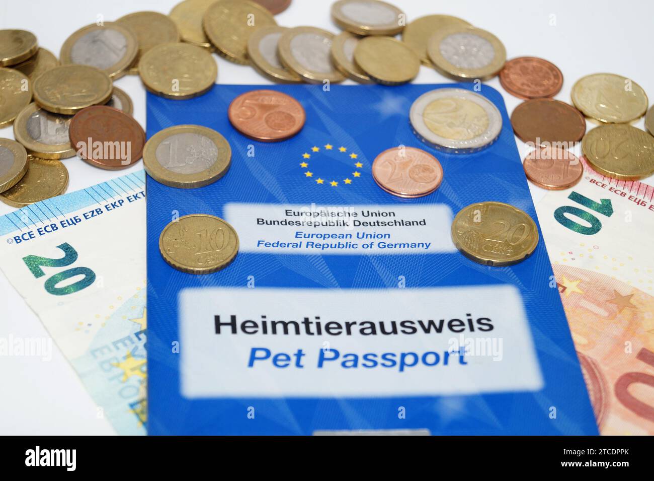 passaporto per animali domestici e denaro, immagine del simbolo Foto Stock