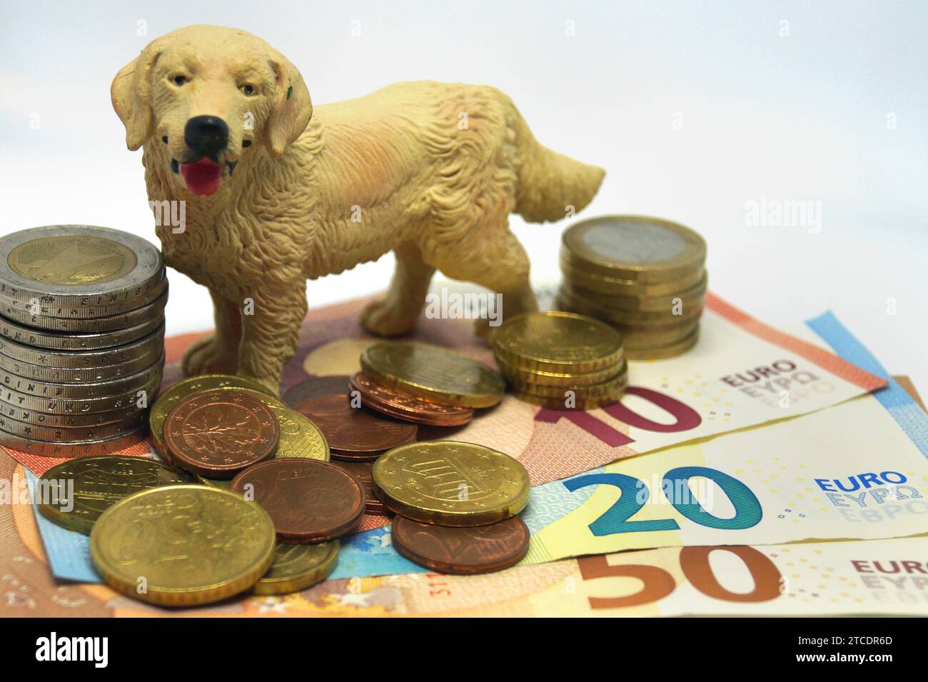 figura da cane e soldi Foto Stock