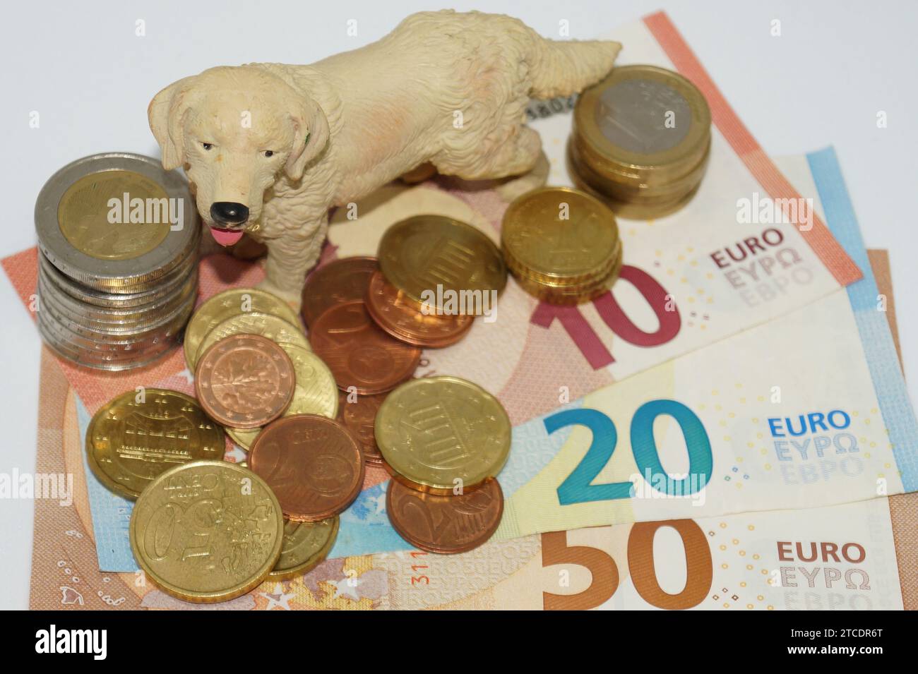 figura da cane e soldi Foto Stock