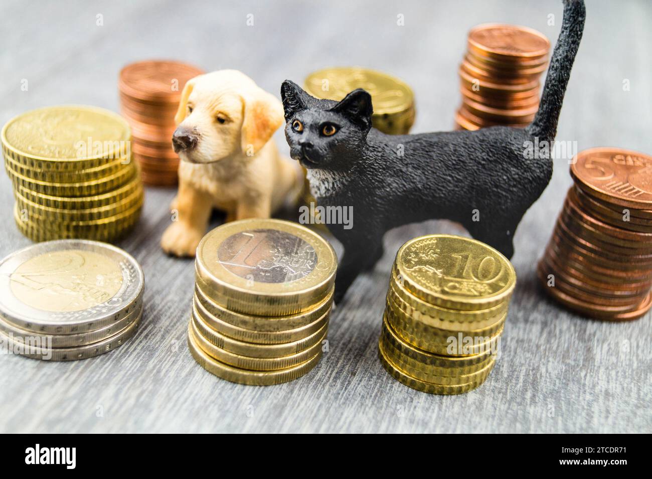 Monete in euro e figure in plastica di cane e gatto Foto Stock