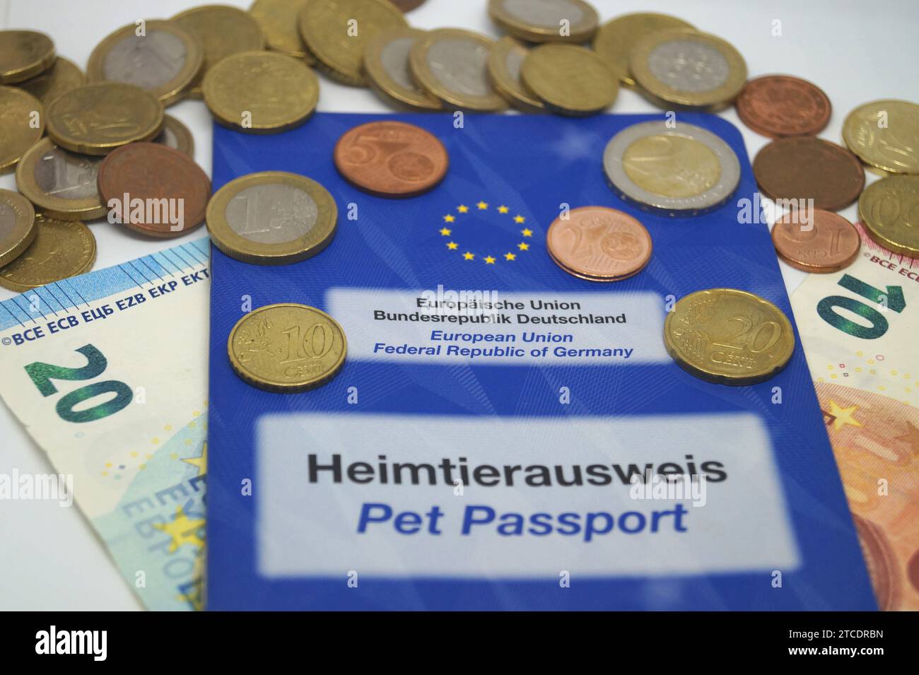 passaporto per animali domestici e denaro, immagine del simbolo Foto Stock