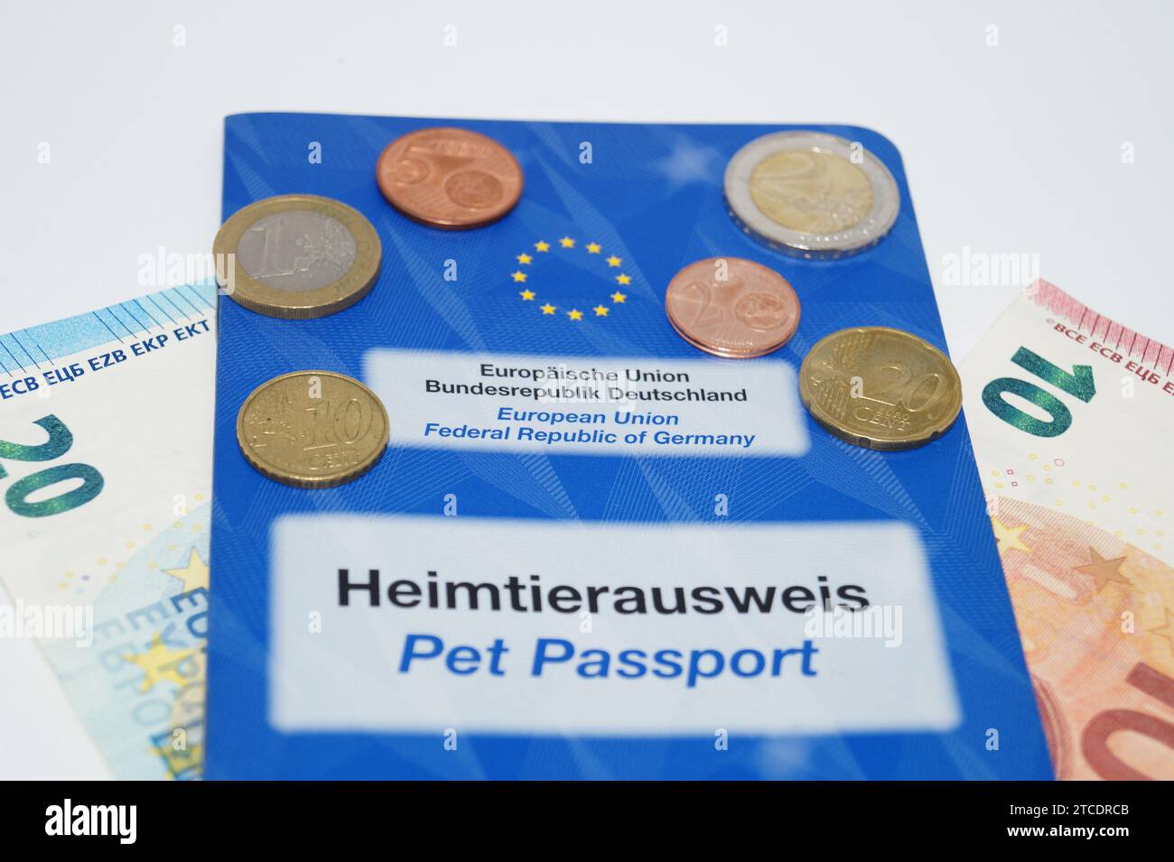 passaporto per animali domestici e denaro, immagine del simbolo Foto Stock