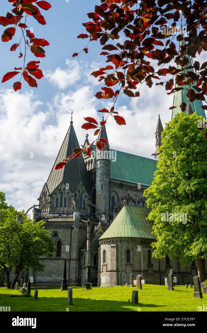Cattedrale di Nidaros, Trondheim Foto Stock