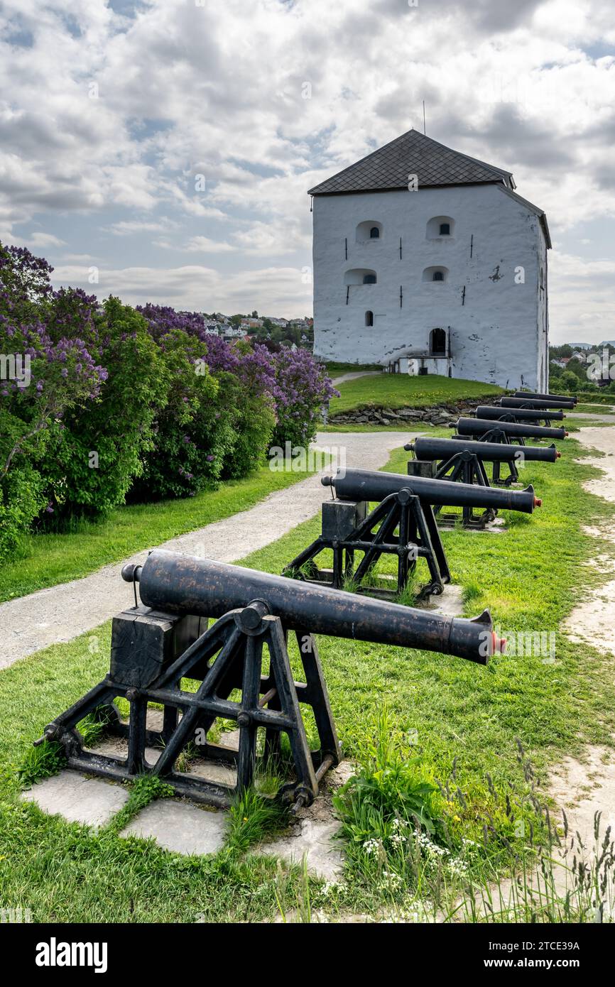 Fortezza di Kristiansten e canoni, Trondheim, Norvegia Foto Stock