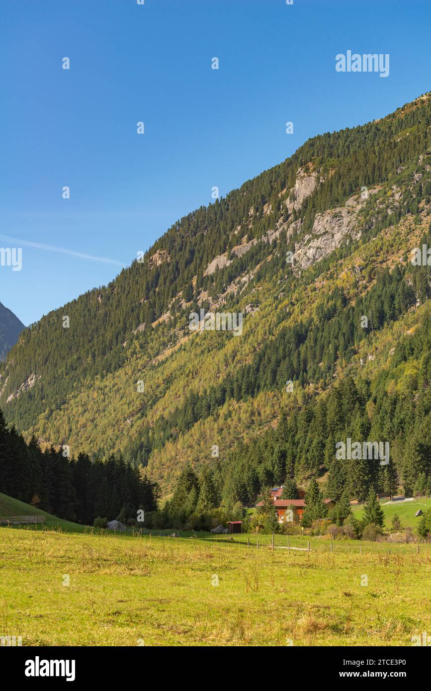 Villaggio rurale con fattorie alpine, comune di Brandberg, Valle Zillergrund, Alpi dello Zillertal, Tirolo, Austria Foto Stock