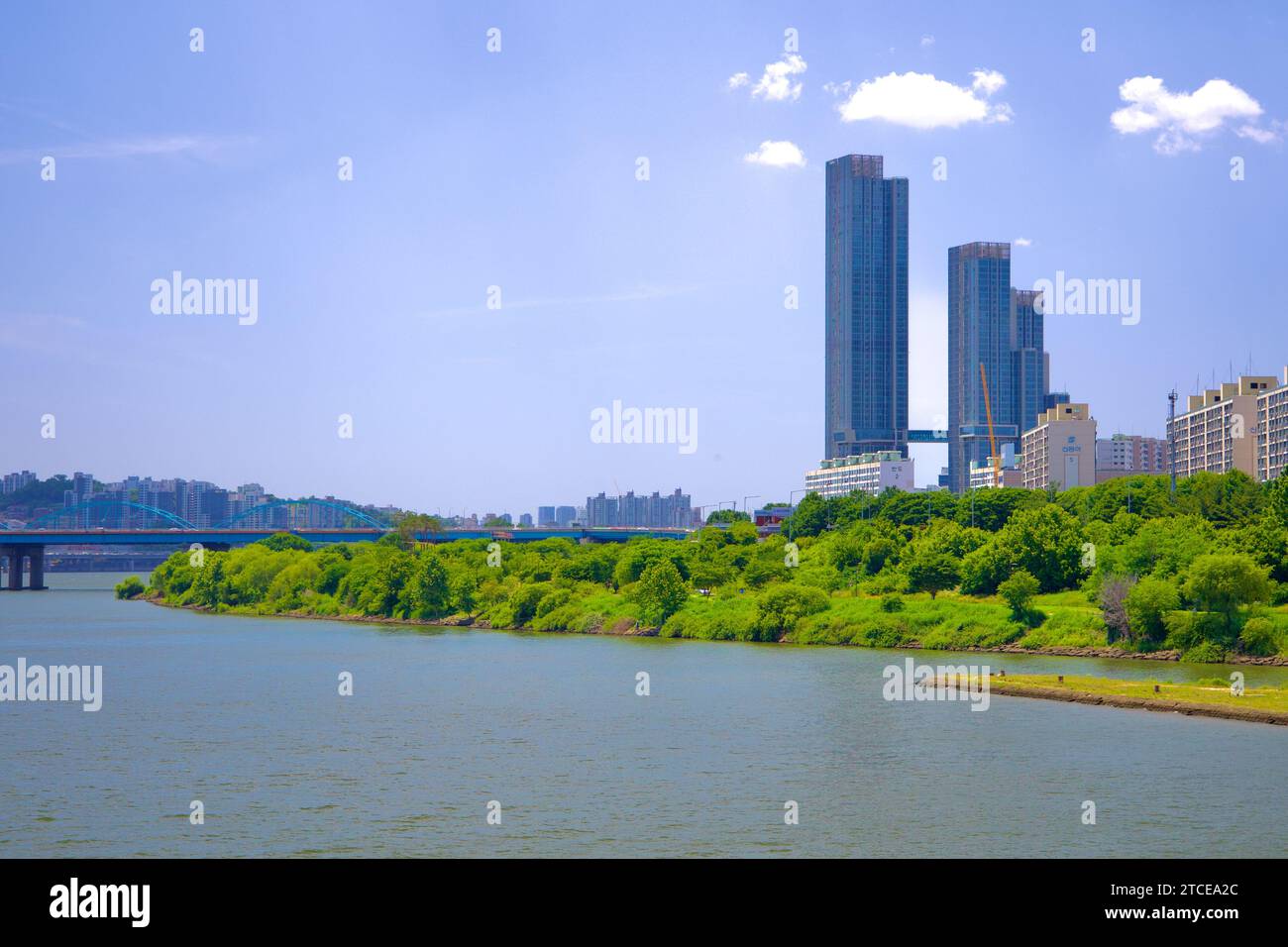 Dal Ponte Banpo, le lussureggianti rive verdi del fiume Han si snodano nel vivace skyline di Yongsan, offrendo una pittoresca miscela di natura e urba Foto Stock